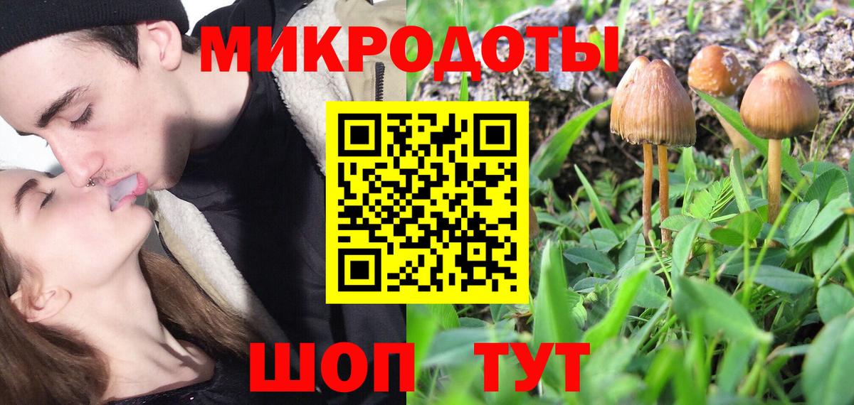 Галлюциногенные грибы Psilocybe Заречный