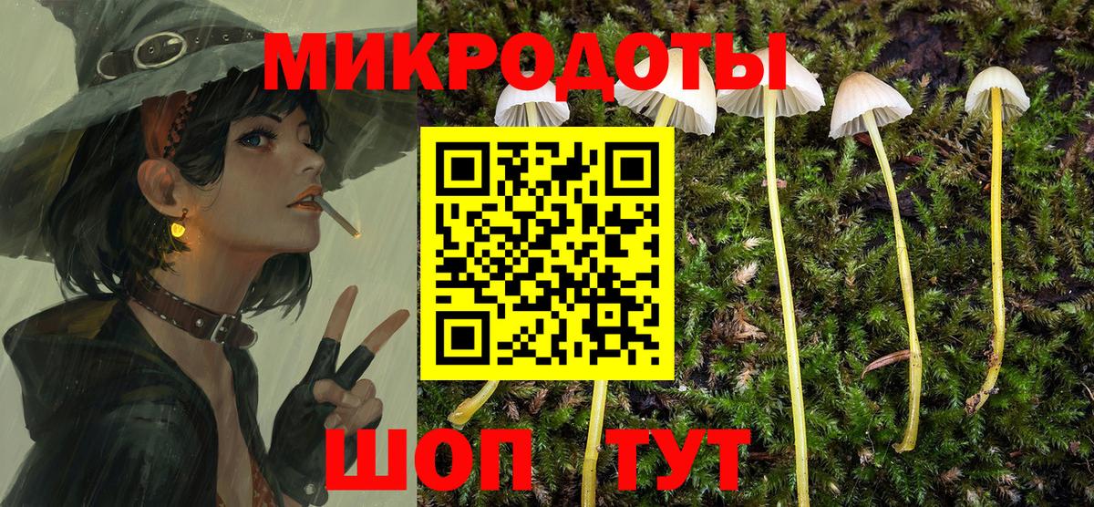 Псилоцибиновые грибы Cubensis  Вход с VPN  Заречный  Галлюциногенные грибы Psilocybine cubensis 